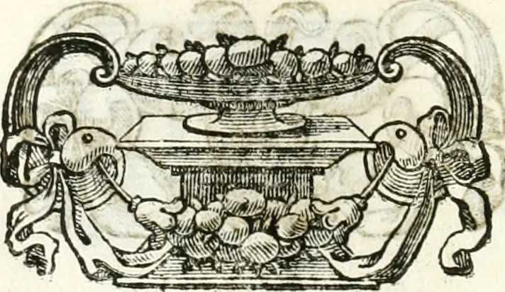 An illustration from Relatione delle festiue dimostrationi fatte in Bologna nella creatione e coronatione della Santità di N. S. P. Clemente IX, 1667, leaf 21
