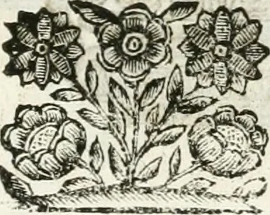 An illustration from Relatione delle festiue dimostrationi fatte in Bologna nella creatione e coronatione della Santità di N. S. P. Clemente IX, 1667, leaf 22