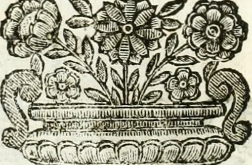An illustration from Relatione delle festiue dimostrationi fatte in Bologna nella creatione e coronatione della Santità di N. S. P. Clemente IX, 1667, leaf 23