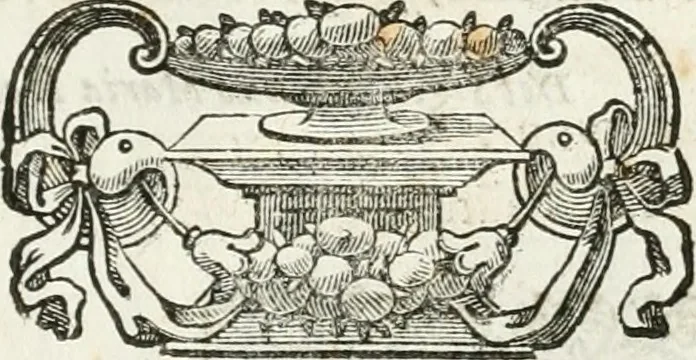 An illustration from Relatione delle festiue dimostrationi fatte in Bologna nella creatione e coronatione della Santità di N. S. P. Clemente IX, 1667, leaf 26
