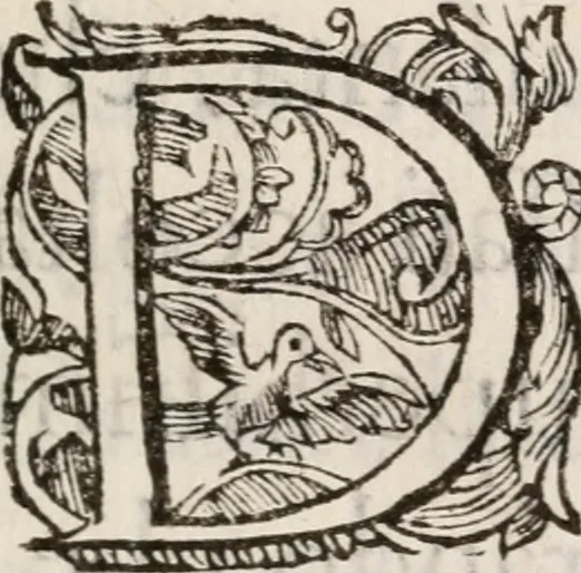 An illustration from Relatione delle feste fatte in Napoli dall'eccellen.mo signor duca di Medina de las Torres, vice re del regno, per la nascita della serenissima infa[n]ta di Spagna, 1639, leaf 14