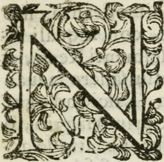 An illustration from Relatione delle feste fatte in Napoli dall'eccellen.mo signor duca di Medina de las Torres, vice re del regno, per la nascita della serenissima infa[n]ta di Spagna, 1639, leaf 18