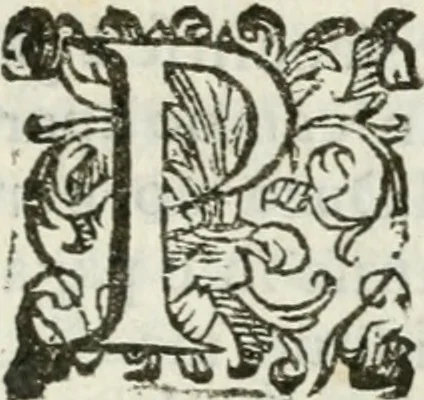 An illustration from Relatione delle feste fatte in Napoli dall'eccellen.mo signor duca di Medina de las Torres, vice re del regno, per la nascita della serenissima infa[n]ta di Spagna, 1639, leaf 80