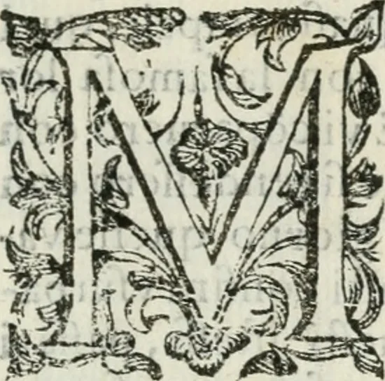 An illustration from Relatione delle feste fatte in Napoli dall'eccellen.mo signor duca di Medina de las Torres, vice re del regno, per la nascita della serenissima infa[n]ta di Spagna, 1639, leaf 96