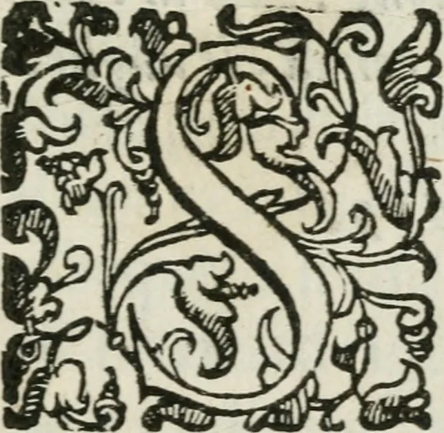An illustration from Breve relatione del nobilissimo trionfo e della sontuosissima festa celebrate in Mantova per l'elletione della Sacra Maestà di don Ferdinando : arciduca d'Austria, re di Boëmia, & Ongheria all'Imperio, il mese di settembre dell'anno M.DC.XIX : alla sereniss. arciduchessa d'Austria, gran duchessa di Toscana &c, 1619, leaf 6