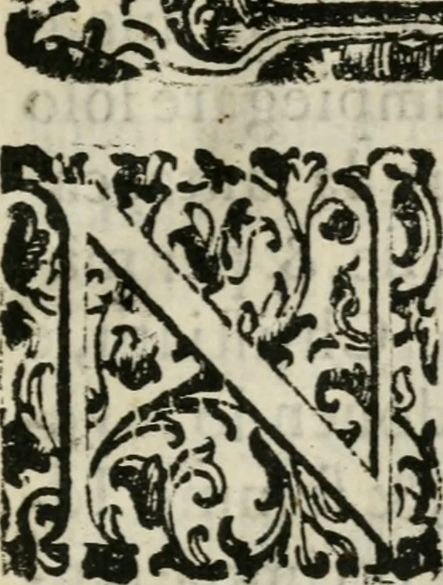 An illustration from Breve relatione del nobilissimo trionfo e della sontuosissima festa celebrate in Mantova per l'elletione della Sacra Maestà di don Ferdinando : arciduca d'Austria, re di Boëmia, & Ongheria all'Imperio, il mese di settembre dell'anno M.DC.XIX : alla sereniss. arciduchessa d'Austria, gran duchessa di Toscana &c, 1619, leaf 8