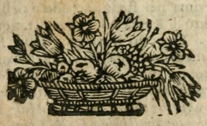 An illustration from Relatione del pomposo apparato fatto da PP. Carmelitani dell'antica osseruanza, in S. Maria di Piazza di Torino : con occasione della solennizata canonizatione di S. Maria Maddalena de Pazzi vergine e monaca dell'istessa osseruanza, 1669, leaf 62