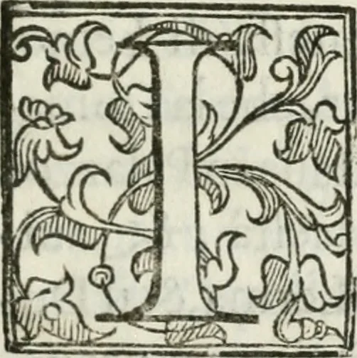 An illustration from Relatione di quanto e successo nella città di Vagliadolid dopò il felicissimo nascimento del principe di Spagna don Filippo Dominico Vittorio nostro sig. : fin che si finirono le dimostrationi d'allegrezza, che per quel si fecero, 1608, leaf 16