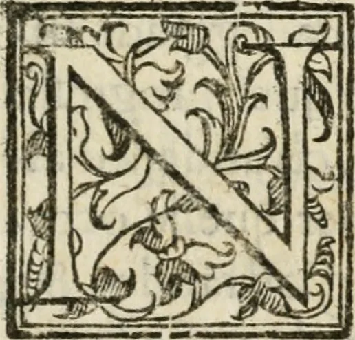 An illustration from Relatione di quanto e successo nella città di Vagliadolid dopò il felicissimo nascimento del principe di Spagna don Filippo Dominico Vittorio nostro sig. : fin che si finirono le dimostrationi d'allegrezza, che per quel si fecero, 1608, leaf 6