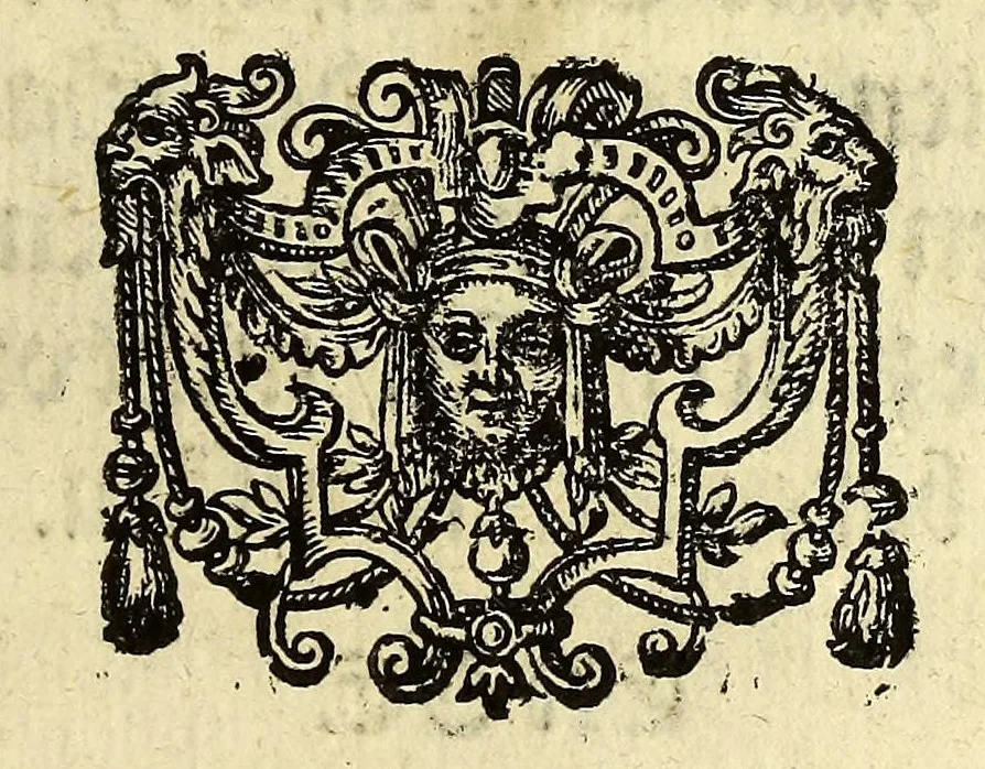 An illustration from Relation Herrn Petri Fernandes de Quir, spanischen Hauptmans [et]c. so er König. May. in Spanien [et]c. von dem new erfundnem vierten Theil der Welt (so bissher in Mappis oder Landafflen [sic] Terra Australis incognita genannt) vnd desselben Länder, Reichtumb vnd Fruchtbarkeit [et]c. vbergeben., 1611, leaf 17