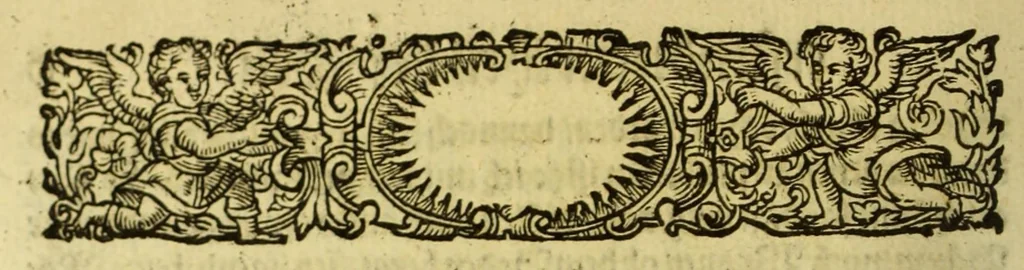 An illustration from Relation Herrn Petri Fernandes de Quir, spanischen Hauptmans [et]c. so er König. May. in Spanien [et]c. von dem new erfundnem vierten Theil der Welt (so bissher in Mappis oder Landafflen [sic] Terra Australis incognita genannt) vnd desselben Länder, Reichtumb vnd Fruchtbarkeit [et]c. vbergeben., 1611, leaf 18