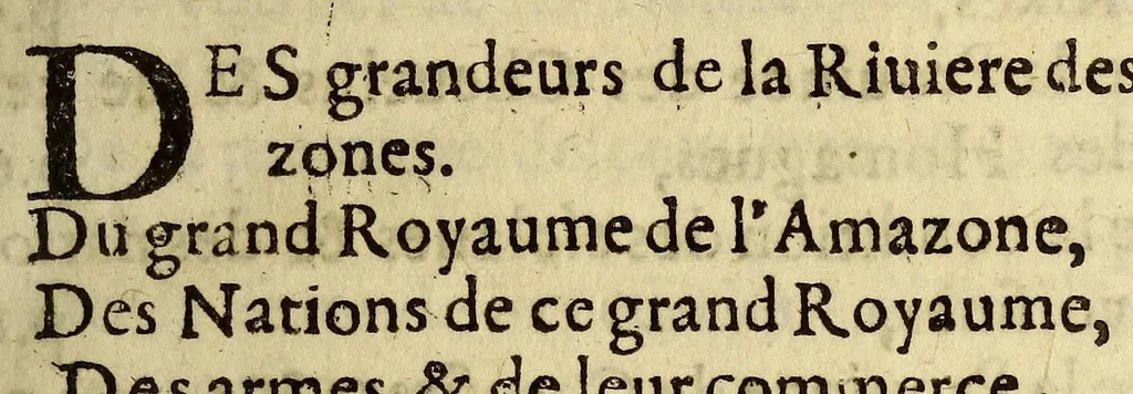 An illustration from Relation historique et geographique, de la grande riuiere des Amazones dans l'Amerique, 1655, leaf 13