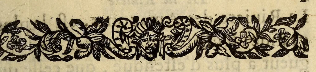 An illustration from Relation historique et geographique, de la grande riuiere des Amazones dans l'Amerique, 1655, leaf 19