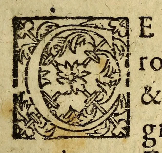 An illustration from Relation historique et geographique, de la grande riuiere des Amazones dans l'Amerique, 1656, leaf 21