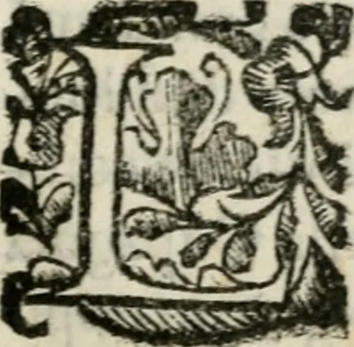 An illustration from Relationi della venvta degli ambasciatori giaponesi a Roma sino alla partita di Lisbona : con le accoglienze fatte loro da tutti i principi christiani per doue sono passati, 1586, leaf 134