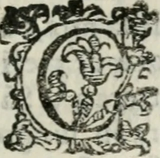 An illustration from Relationi della venvta degli ambasciatori giaponesi a Roma sino alla partita di Lisbona : con le accoglienze fatte loro da tutti i principi christiani per doue sono passati, 1586, leaf 182
