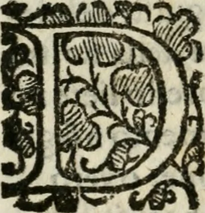 An illustration from Relationi della venvta degli ambasciatori giaponesi a Roma sino alla partita di Lisbona : con le accoglienze fatte loro da tutti i principi christiani per doue sono passati, 1586, leaf 197
