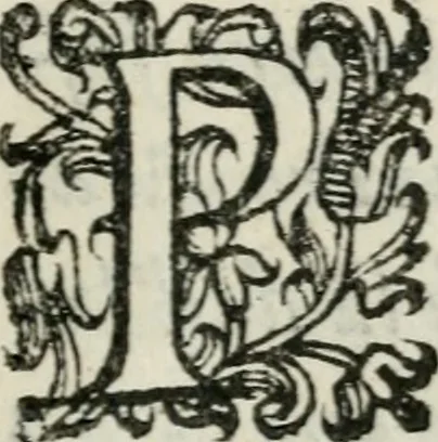 An illustration from Relationi della venvta degli ambasciatori giaponesi a Roma sino alla partita di Lisbona : con le accoglienze fatte loro da tutti i principi christiani per doue sono passati, 1586, leaf 6