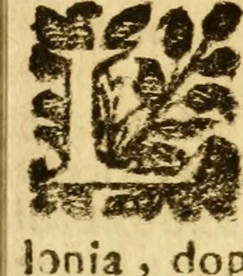 An illustration from Relationi delle città di Bologna, Fiorenza, Genova, e Lvcca : con la notitia di tutte le cose più degne, e curiose delle medesime, 1675, leaf 299