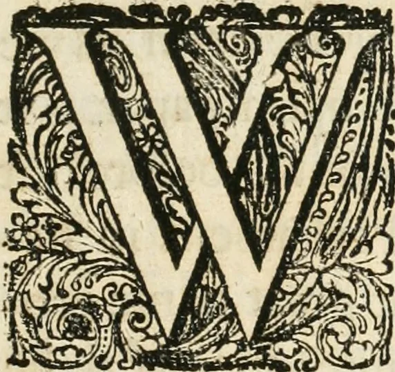 An illustration from A relation in form of journal of the voiage and residence which the most excellent and most mighty prince Charles the II, King of Great Britain, &c hath made in Holland from the 25 of May to the 2 of June, 1660, 1660, leaf 14