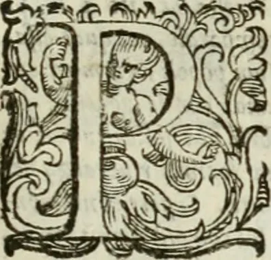 An illustration from Relationi vniversali di Giovanni Botero Benese, diuise in quattro parti. Arricchite di molte cose rare, e memorabili, con l'vltima mano dell'auttore, 1659, leaf 1026