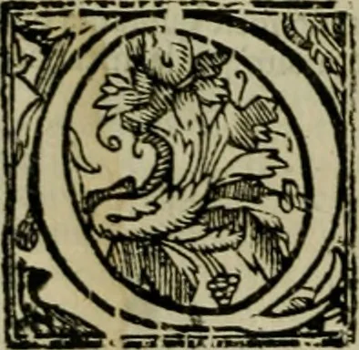 An illustration from Relationi vniversali di Giovanni Botero Benese, diuise in quattro parti. Arricchite di molte cose rare, e memorabili, con l'vltima mano dell'auttore, 1659, leaf 105