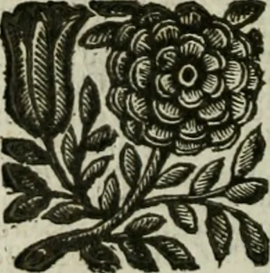 An illustration from Relationi vniversali di Giovanni Botero Benese, diuise in quattro parti. Arricchite di molte cose rare, e memorabili, con l'vltima mano dell'auttore, 1659, leaf 1155