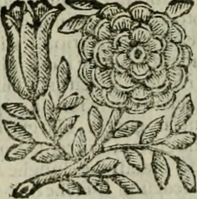 An illustration from Relationi vniversali di Giovanni Botero Benese, diuise in quattro parti. Arricchite di molte cose rare, e memorabili, con l'vltima mano dell'auttore, 1659, leaf 1263