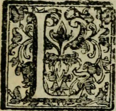 An illustration from Relationi vniversali di Giovanni Botero Benese, diuise in quattro parti. Arricchite di molte cose rare, e memorabili, con l'vltima mano dell'auttore, 1659, leaf 135