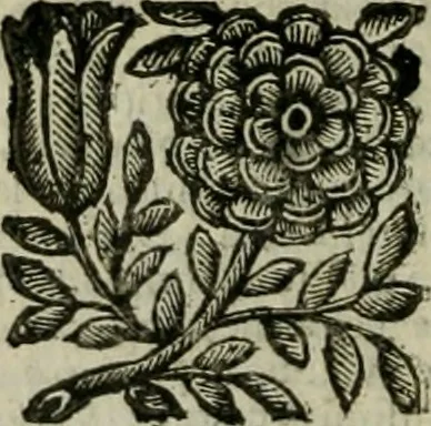 An illustration from Relationi vniversali di Giovanni Botero Benese, diuise in quattro parti. Arricchite di molte cose rare, e memorabili, con l'vltima mano dell'auttore, 1659, leaf 177