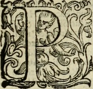 An illustration from Relationi vniversali di Giovanni Botero Benese, diuise in quattro parti. Arricchite di molte cose rare, e memorabili, con l'vltima mano dell'auttore, 1659, leaf 218