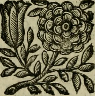 An illustration from Relationi vniversali di Giovanni Botero Benese, diuise in quattro parti. Arricchite di molte cose rare, e memorabili, con l'vltima mano dell'auttore, 1659, leaf 305