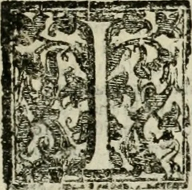An illustration from Relationi vniversali di Giovanni Botero Benese, diuise in quattro parti. Arricchite di molte cose rare, e memorabili, con l'vltima mano dell'auttore, 1659, leaf 572