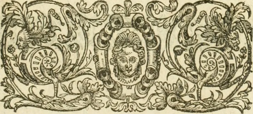An illustration from A relation of a journey begun An: Dom: 1610. Fovre bookes. Containing a description of the Turkish Empire, of Ægypt, of the Holy Land, of the remote parts of Italy, and ilands adioyning, 1621, leaf 316