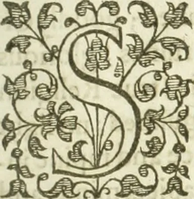 An illustration from A relation of a journey begun An: Dom: 1610. Fovre bookes. Containing a description of the Turkish Empire, of Ægypt, of the Holy Land, of the remote parts of Italy, and ilands adioyning, 1621, leaf 4