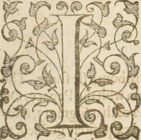 An illustration from A relation of a journey begun An: Dom: 1610. Fovre bookes. Containing a description of the Turkish Empire, of Ægypt, of the Holy Land, of the remote parts of Italy, and ilands adioyning, 1621, leaf 8