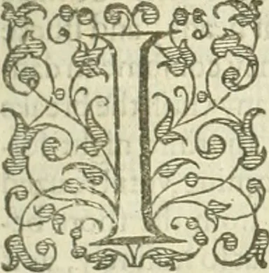 An illustration from A relation of a journey begun An: Dom: 1610. Fovre bookes. Containing a description of the Turkish Empire, of Ægypt, of the Holy Land, of the remote parts of Italy, and ilands adioyning, 1621, leaf 94