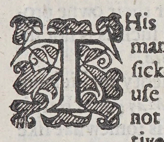 An illustration from A relation of Maryland; : together, vvith a map of the countrey, the conditions of plantation, His Majesties charter to the Lord Baltemore,, 1635, leaf 31