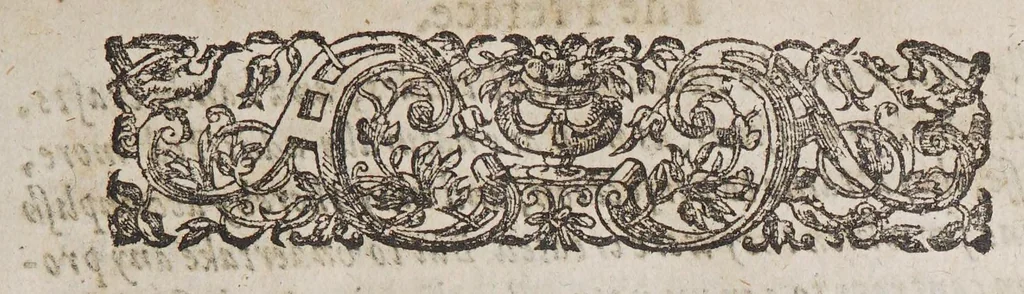 An illustration from A relation of a voyage to Guiana. : Describing the climat, scituation, fertilitie, prouisions and commodities of that country, containing seuen prouinces, and other signiories within that territory: together, with the manners, customes, behauiors, and dispositions of the people., 1613, leaf 13