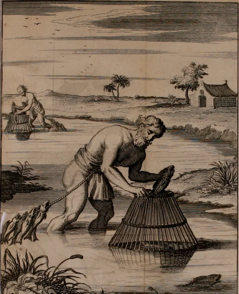 An illustration from Relation ou voyage de l'isle de Ceylan, dans les Indes orientales. Contenant une description exacte de cette isle, la forme de son gouvernement, le commerce, les moeurs, les coûtumes, & la religion de ses habitans:, 1693, leaf 117