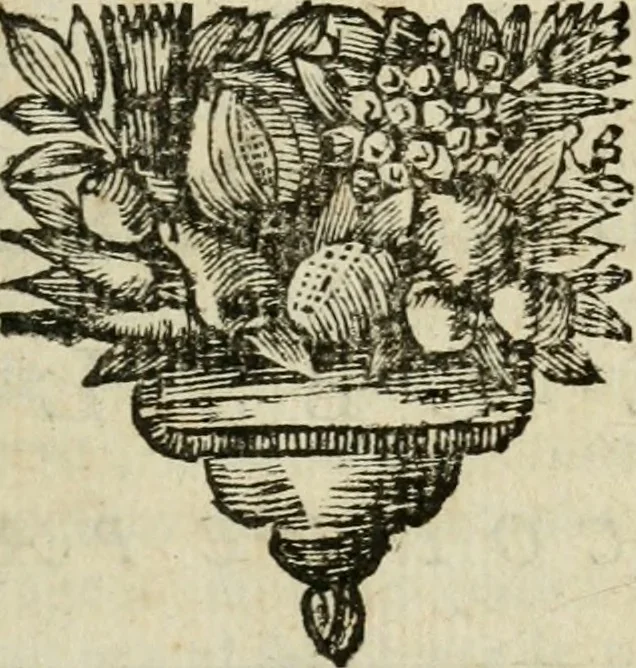 An illustration from Relation ou voyage de l'isle de Ceylan, dans les Indes orientales. Contenant une description exacte de cette isle, la forme de son gouvernement, le commerce, les moeurs, les coûtumes, & la religion de ses habitans:, 1693, leaf 126