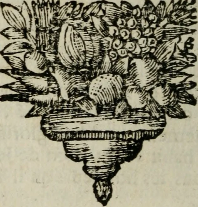 An illustration from Relation ou voyage de l'isle de Ceylan, dans les Indes orientales. Contenant une description exacte de cette isle, la forme de son gouvernement, le commerce, les moeurs, les coûtumes, & la religion de ses habitans:, 1693, leaf 263