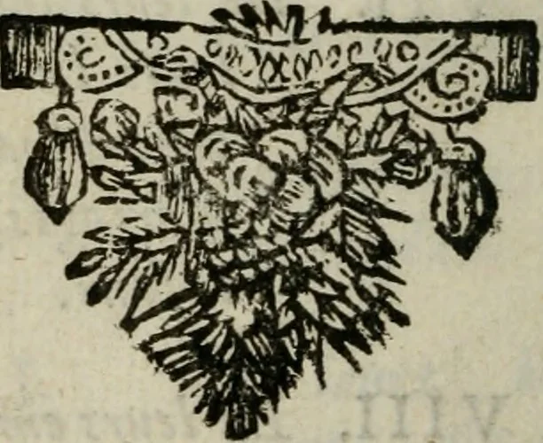 An illustration from Relation ou voyage de l'isle de Ceylan, dans les Indes orientales. Contenant une description exacte de cette isle, la forme de son gouvernement, le commerce, les moeurs, les coûtumes, & la religion de ses habitans:, 1693, leaf 267