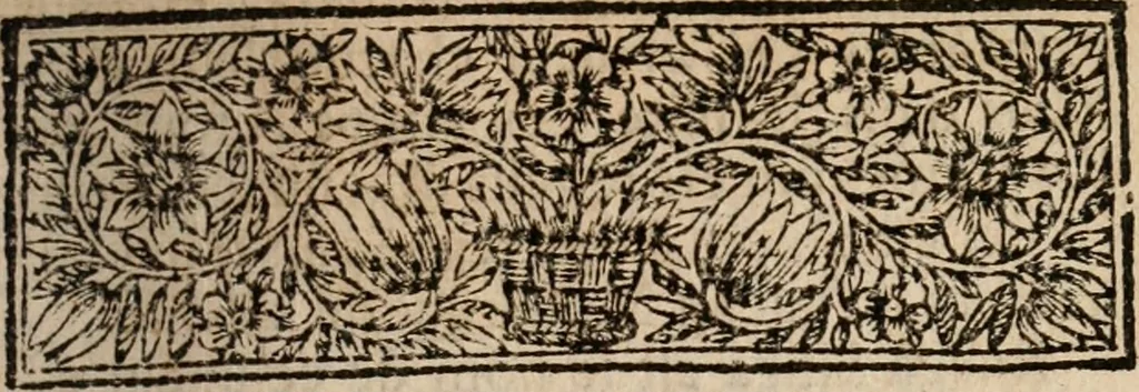 An illustration from Relation ou voyage de l'isle de Ceylan, dans les Indes orientales. Contenant une description exacte de cette isle, la forme de son gouvernement, le commerce, les moeurs, les coûtumes, & la religion de ses habitans:, 1693, leaf 270