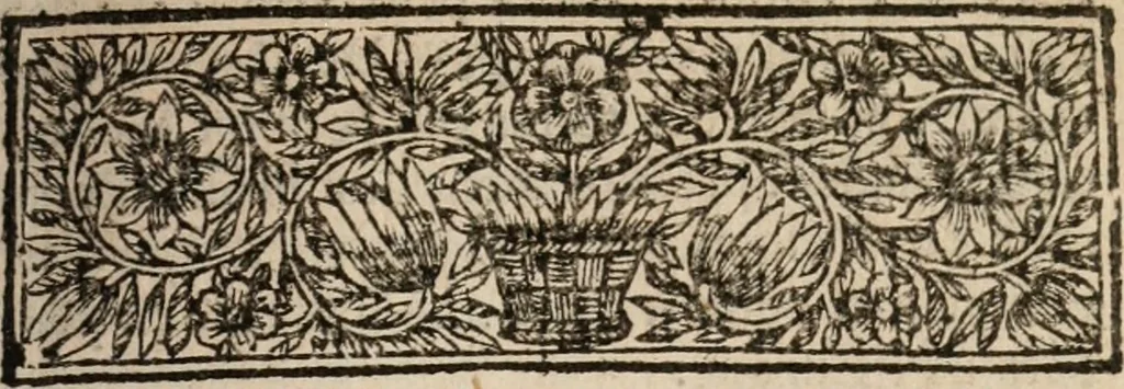 An illustration from Relation ou voyage de l'isle de Ceylan, dans les Indes orientales. Contenant une description exacte de cette isle, la forme de son gouvernement, le commerce, les moeurs, les coûtumes, & la religion de ses habitans:, 1693, leaf 30