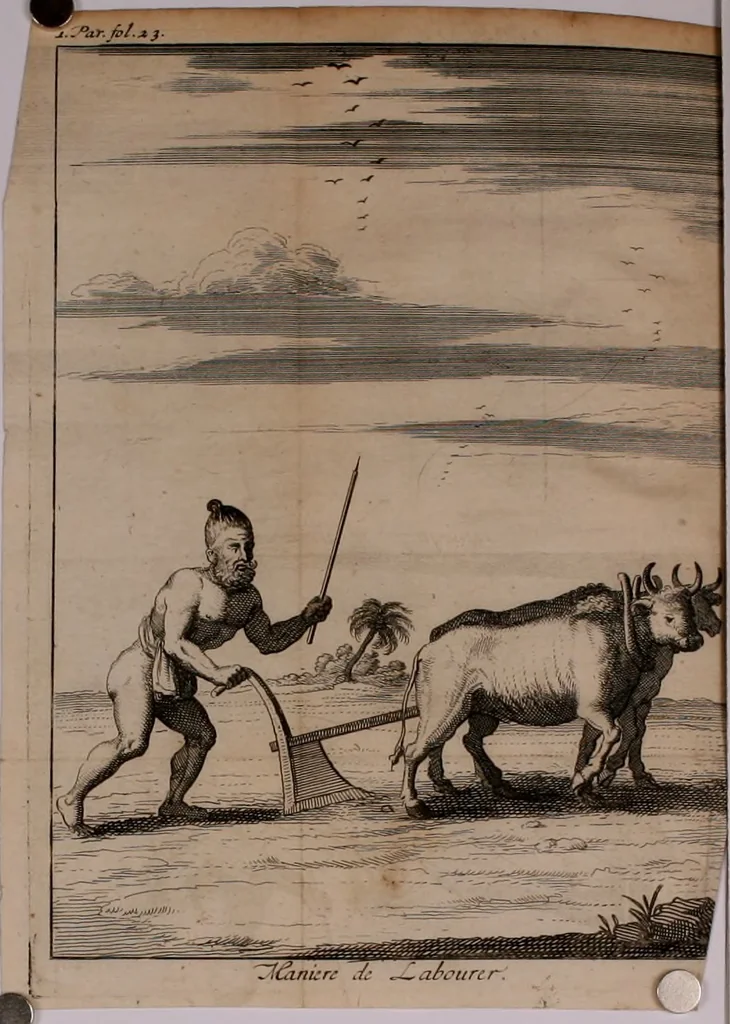 An illustration from Relation ou voyage de l'isle de Ceylan, dans les Indes orientales. Contenant une description exacte de cette isle, la forme de son gouvernement, le commerce, les moeurs, les coûtumes, & la religion de ses habitans:, 1693, leaf 53