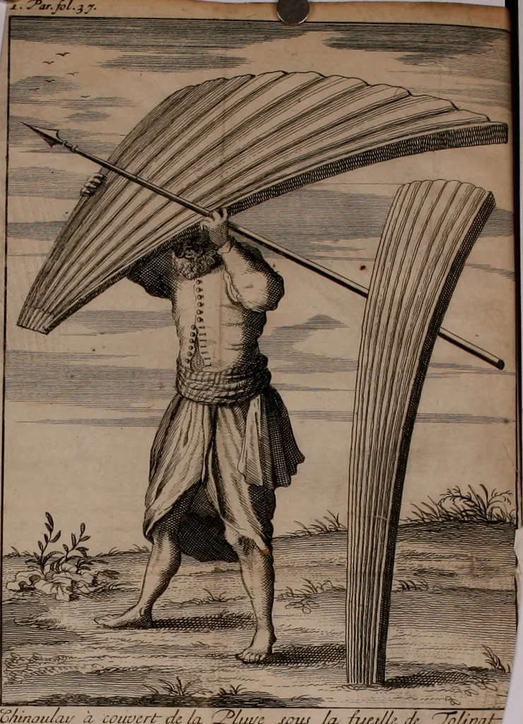 An illustration from Relation ou voyage de l'isle de Ceylan, dans les Indes orientales. Contenant une description exacte de cette isle, la forme de son gouvernement, le commerce, les moeurs, les coûtumes, & la religion de ses habitans:, 1693, leaf 73