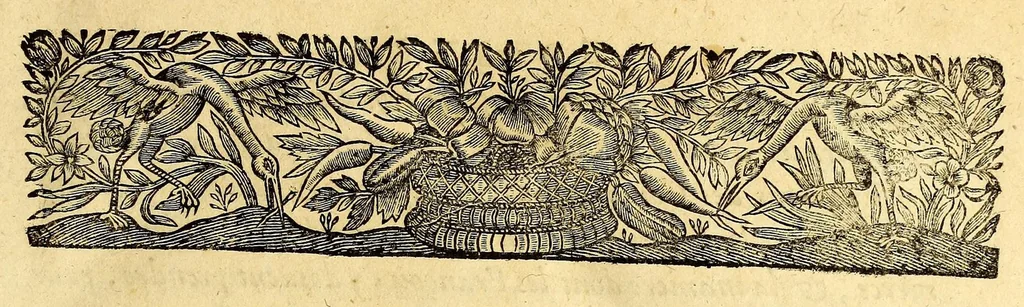 An illustration from Relations de divers voyages curieux, qui n'ont point esté publiees; : ov qvi ont esté traduites d'Haclvyt; de Purchas, & d'autres voyageurs anglois, hollandois, portugais, allemands, espagnols; et de qvelqves Persans, Arabes, et avtres auteurs orientaux. Enrichies de figures de plantes non décrites, d'animaux inconnus à l'Europe, & de cartes geographiques de pays dont on n'a point encore donné de cartes, 1664, leaf 11