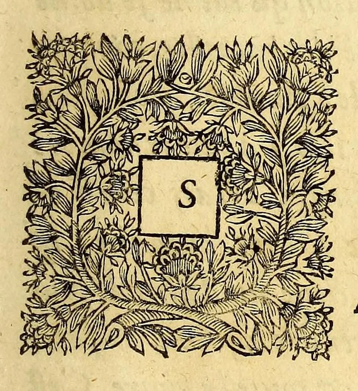 An illustration from Relations de divers voyages curieux, qui n'ont point esté publiees; : ov qvi ont esté traduites d'Haclvyt; de Purchas, & d'autres voyageurs anglois, hollandois, portugais, allemands, espagnols; et de qvelqves Persans, Arabes, et avtres auteurs orientaux. Enrichies de figures de plantes non décrites, d'animaux inconnus à l'Europe, & de cartes geographiques de pays dont on n'a point encore donné de cartes, 1664, leaf 11