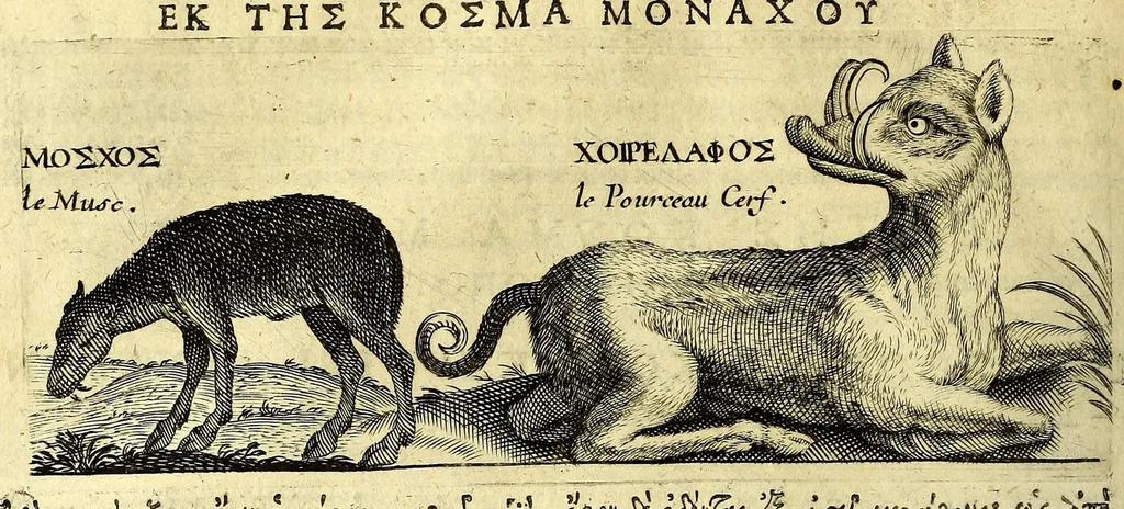 An illustration from Relations de divers voyages curieux, qui n'ont point esté publiees; : ov qvi ont esté traduites d'Haclvyt; de Purchas, & d'autres voyageurs anglois, hollandois, portugais, allemands, espagnols; et de qvelqves Persans, Arabes, et avtres auteurs orientaux. Enrichies de figures de plantes non décrites, d'animaux inconnus à l'Europe, & de cartes geographiques de pays dont on n'a point encore donné de cartes, 1664, leaf 286